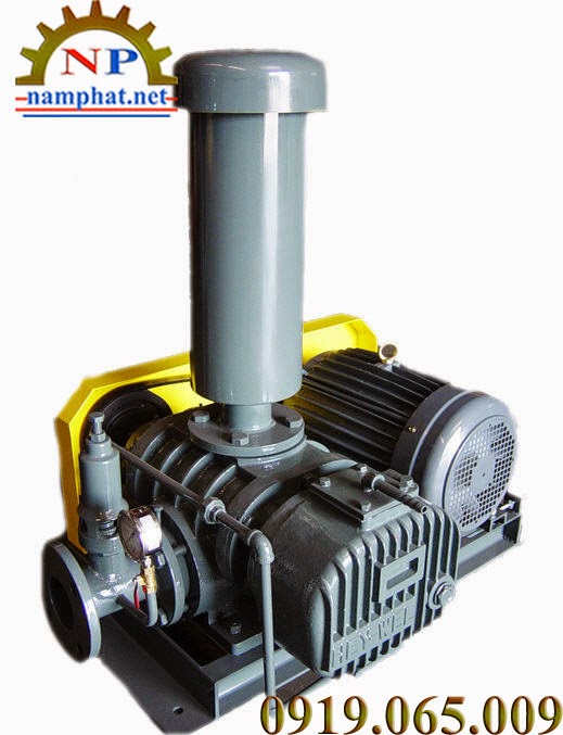 Máy thổi khí Heywel RSW Máy thổi khí Heywel RSW