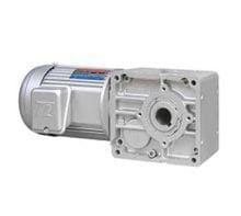 Motor giảm tốc Tunglee cốt âm TL4070