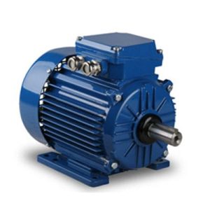 động cơ điện elektrim