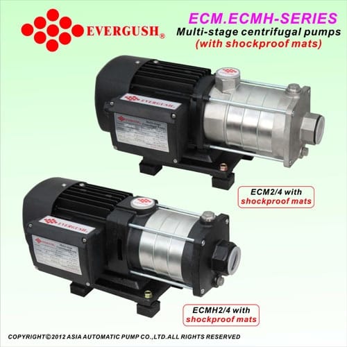 bơm trục ngang evergush ECM