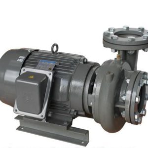 máy bơm trục ngang evergush CP