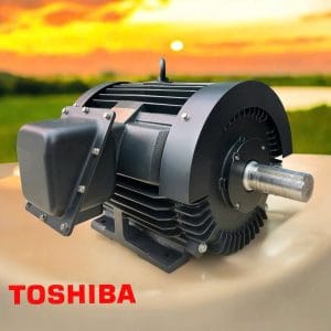 motor toshiba IE3 chân đế 6 cực